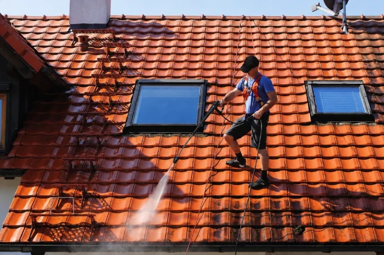 Roof soft washing in Wesley Chapel, FL